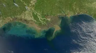 Zatoka Meksykańska okiem satelity