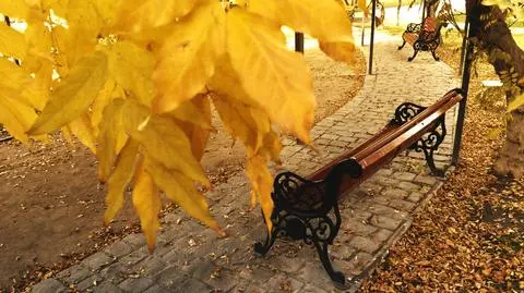 Bardzo ciepły początek listopada