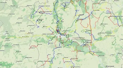 Masz Androida? Na Kujawach nie pobłądzisz
