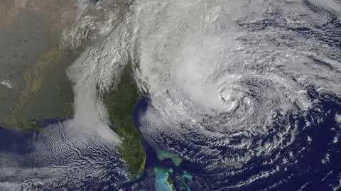Zobacz Sandy na niezwykłym filmie