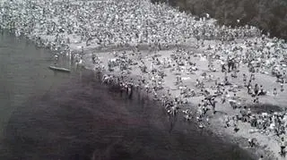 Dawniej chętnie plażowano nad Wisłą