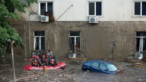 Policzyli drapieżniki zbiegłe z zoo w Tblisi. Bilans ofiar rośnie