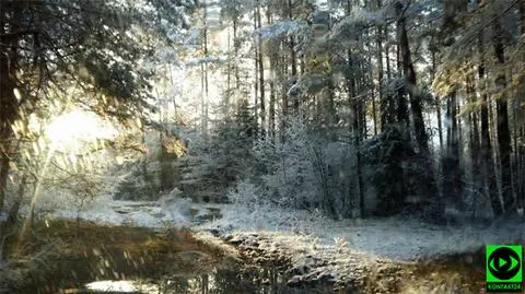 Czy czeka nas zima bez śniegu?
