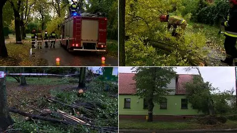 Skutki wichur w Polsce