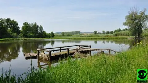 Dzień pełen słońca