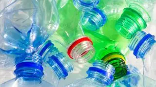 Niektóre bakterie żywią się plastikiem