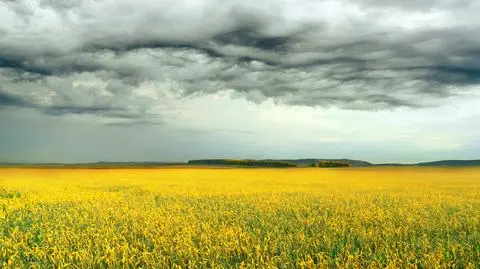W piątek niebo pozostanie zachmurzone w większości regionów