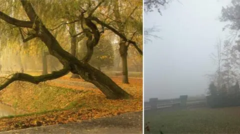 Mgły nie ustępują. Są m.in. w Krakowie i Wrocławiu