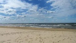 Raport WWF docenił Polskę za wysiłki w zmniejszeniu zatrucia Bałtyku niebezpiecznymi substancjami