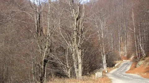 Warunki drogowe będą przeważnie dobre