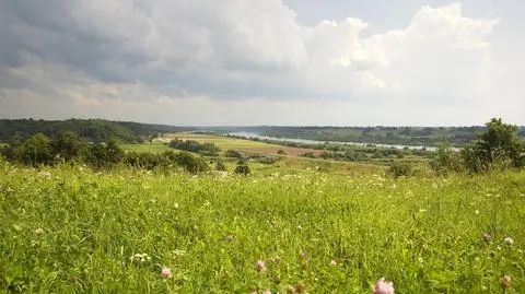 Po południu na zachodzie będzie się chmurzyć, padać i grzmieć