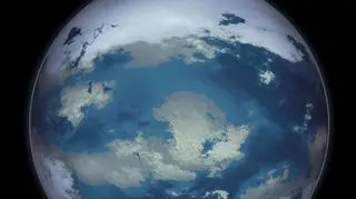 Na innych planetach mogą istnieć różne formy życia