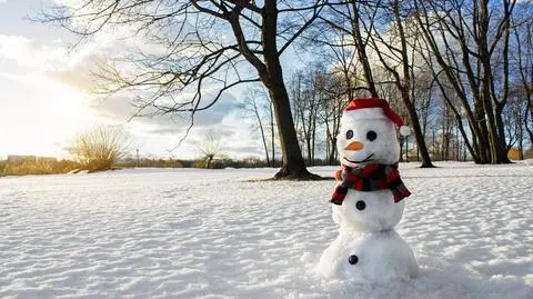 W kolejnych dniach poprószy śnieg