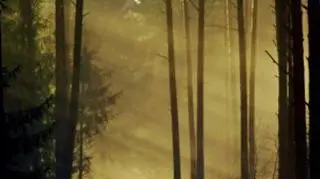 Mglisto w całym kraju