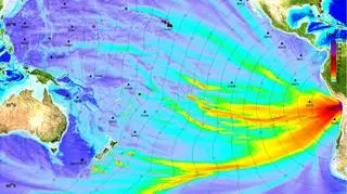 Wysokości fali tsunami na modelu NOAA