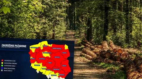 Duże zagrożenie pożarami w lasach. "Wilgotność ściółki wyraźnie spadła"