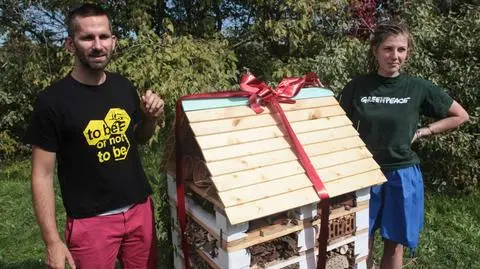 Hotel dla pszczół już działa w Warszawie