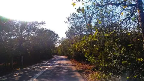 Dobre warunki na drogach