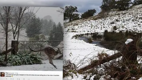 U nas upały, a w Australii rekordowe opady śniegu