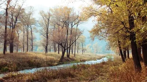 Prognoza pogody na pięć dni: jeden ładny dzień. Okupiony przymrozkami