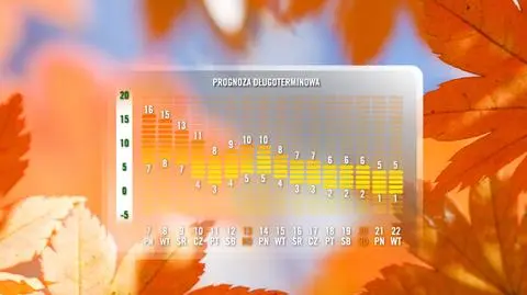 Będzie coraz chłodniej. 21 listopada nawet 1 st. C