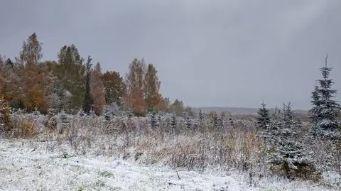 W sobotę na Podlasiu pojawią się opady śniegu