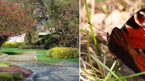 Świat nabiera barw. Natura nie daje się pogodzie