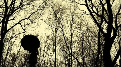 Czeka nas tydzień z deszczem