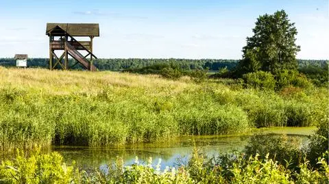 Pogoda na dziś: na termometrach nawet 30 stopni