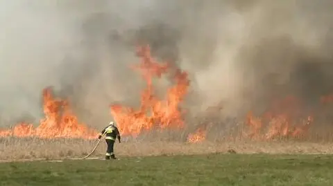 Strażacy walczą z ogniem