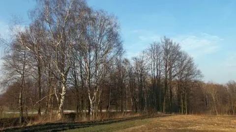 Będzie pogodnie 
