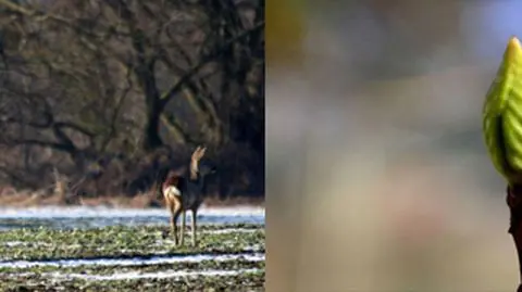 Tchnienie wiosny na Waszych zdjęciach