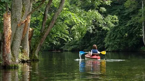 Prognoza pogody na dziś: dzień będzie słoneczny
