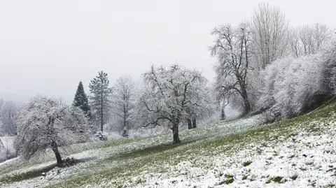 Spadnie śnieg i deszcz ze śniegiem