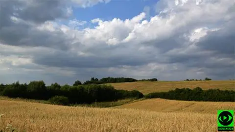 Prognoza pogody na dziś: 24 st. C nad morzem, 36 st. C na południu. Lokalnie zagrzmi