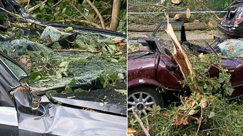 Dwie osoby ranne, setki powalonych i połamanych drzew. Skutki gwałtownej pogody