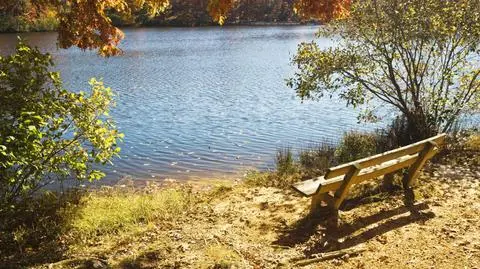 Weekend: wróci ciepło, wyjrzy słońce