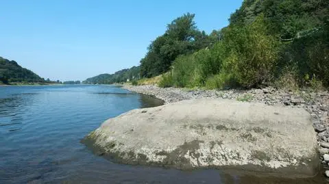 W Łabie pojawiły się kamienie "głodowe". Niemieckie rzeki wysychają