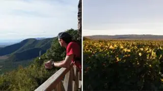 Pola winogron widziane z monastyru
