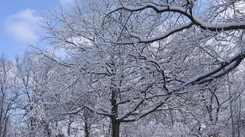 Śnieg na północy w centrum i w górach