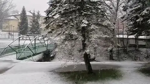 Śnieg w Ustrzykach Dolnych