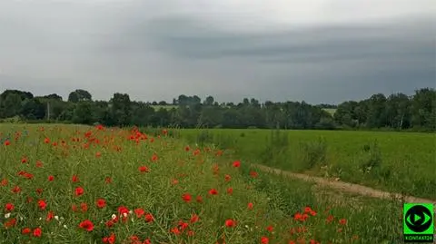 Dzień będzie pochmurny