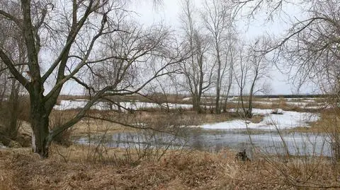 Termometry wskażą miejscami -4 st. C