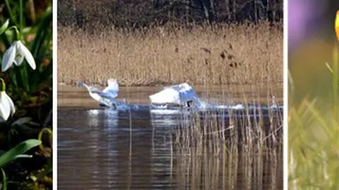 Wiosna w Waszych obiektywach