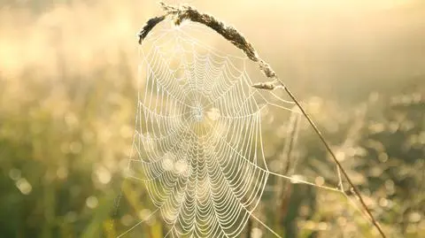 To był ekstremalnie ciepły październik