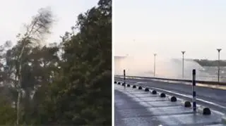 Silny wiatr łamał drzewa i utrudniał transport