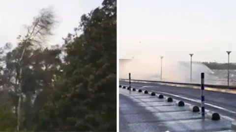 Huraganowy wiatr nad fiordami. Dagmar powalił Skandynawię