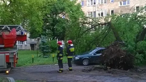 Nawałnica we Wrocławiu. Drzewa spadały na samochody