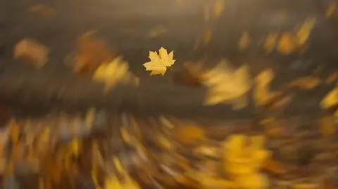 Nadchodzą silne wiatry