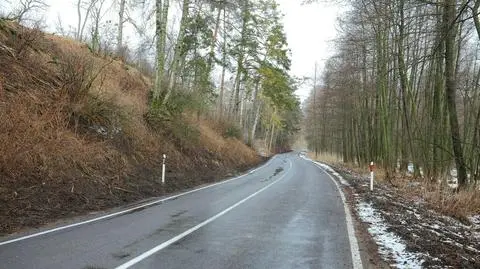 Drogi będą śliskie